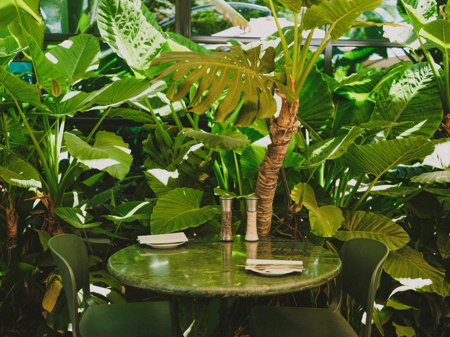 Hotel Eco Boutique Bidasoa Σαντιάγκο Εξωτερικό φωτογραφία