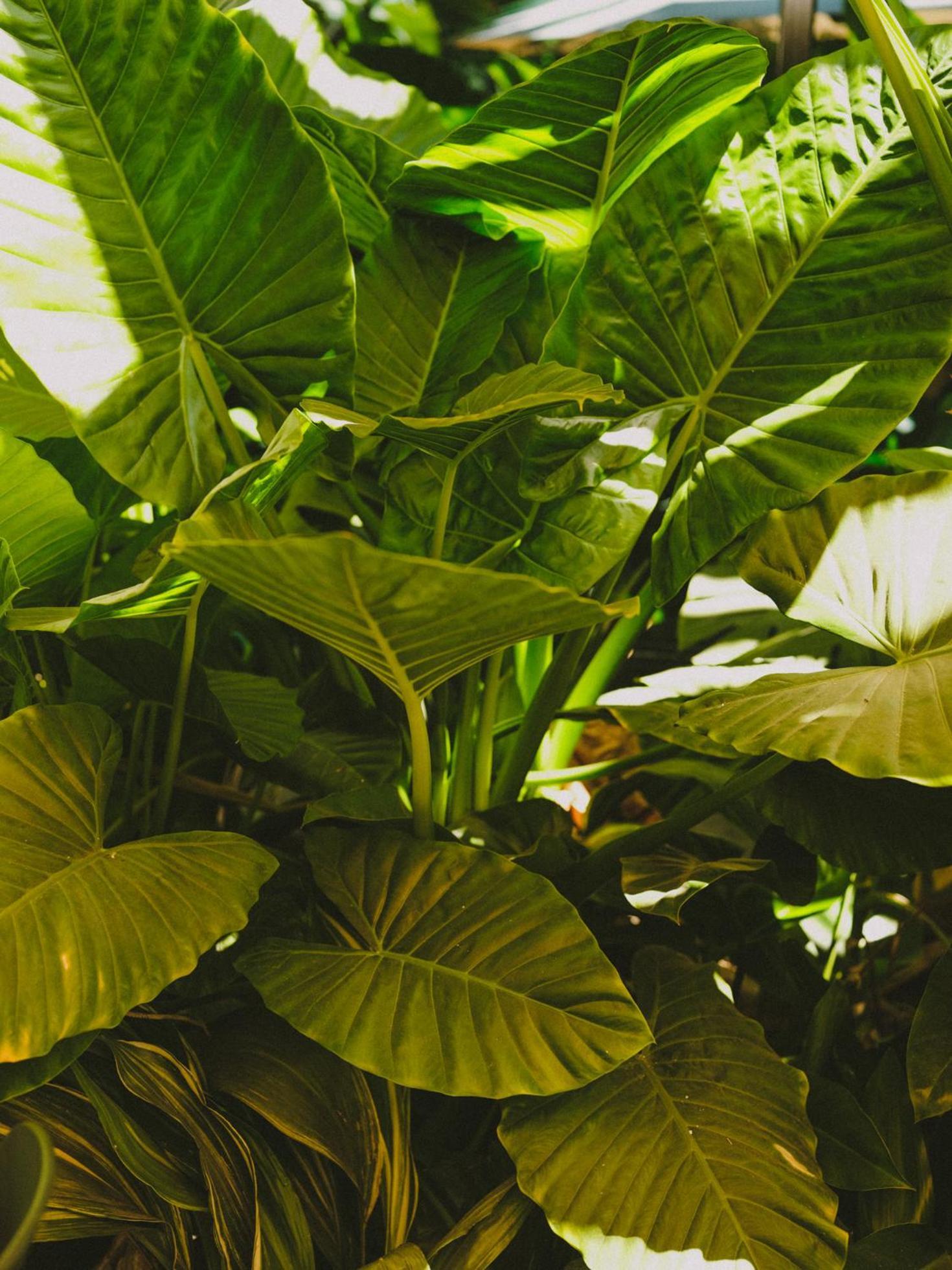 Hotel Eco Boutique Bidasoa Σαντιάγκο Εξωτερικό φωτογραφία