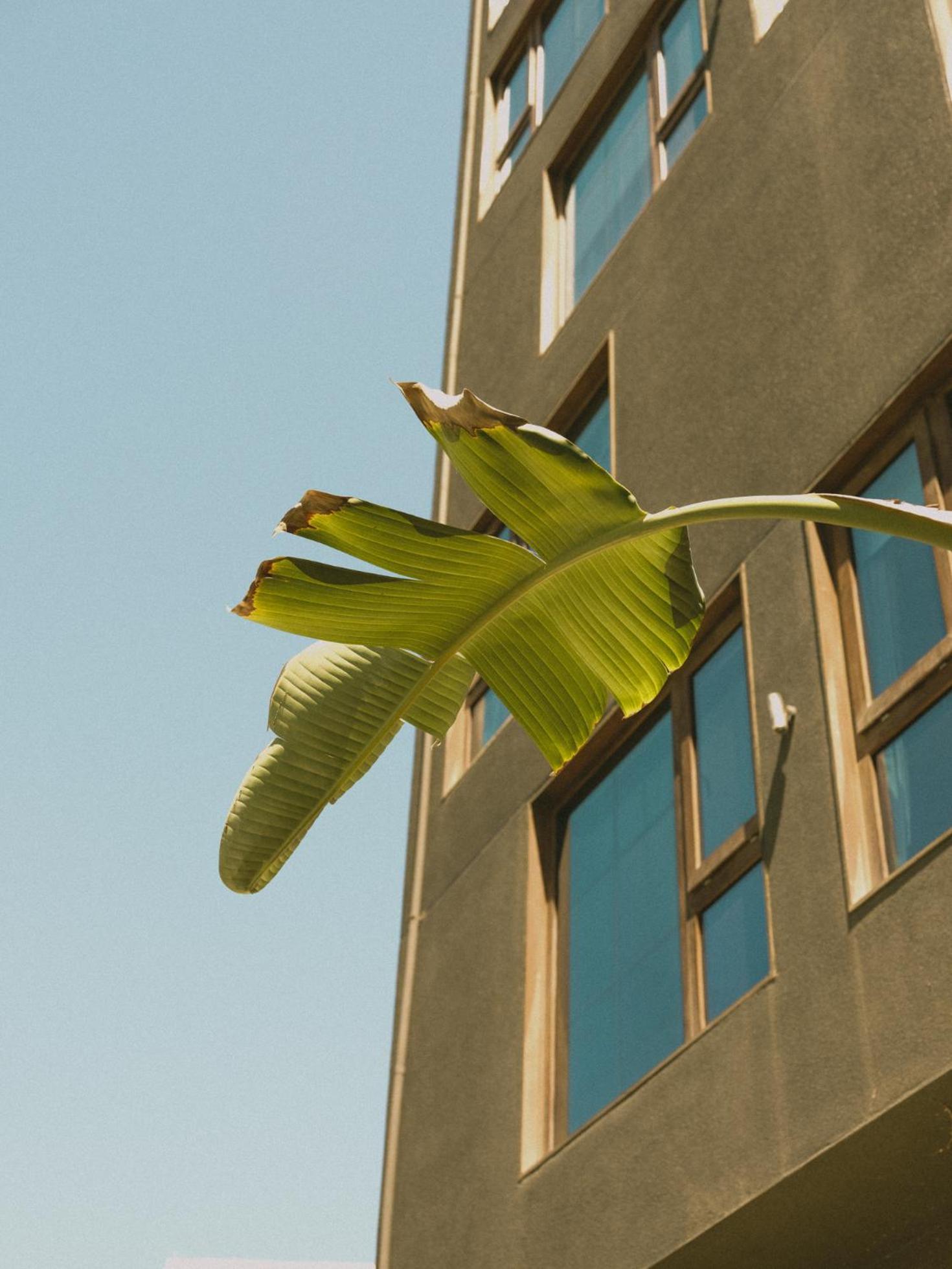 Hotel Eco Boutique Bidasoa Σαντιάγκο Εξωτερικό φωτογραφία