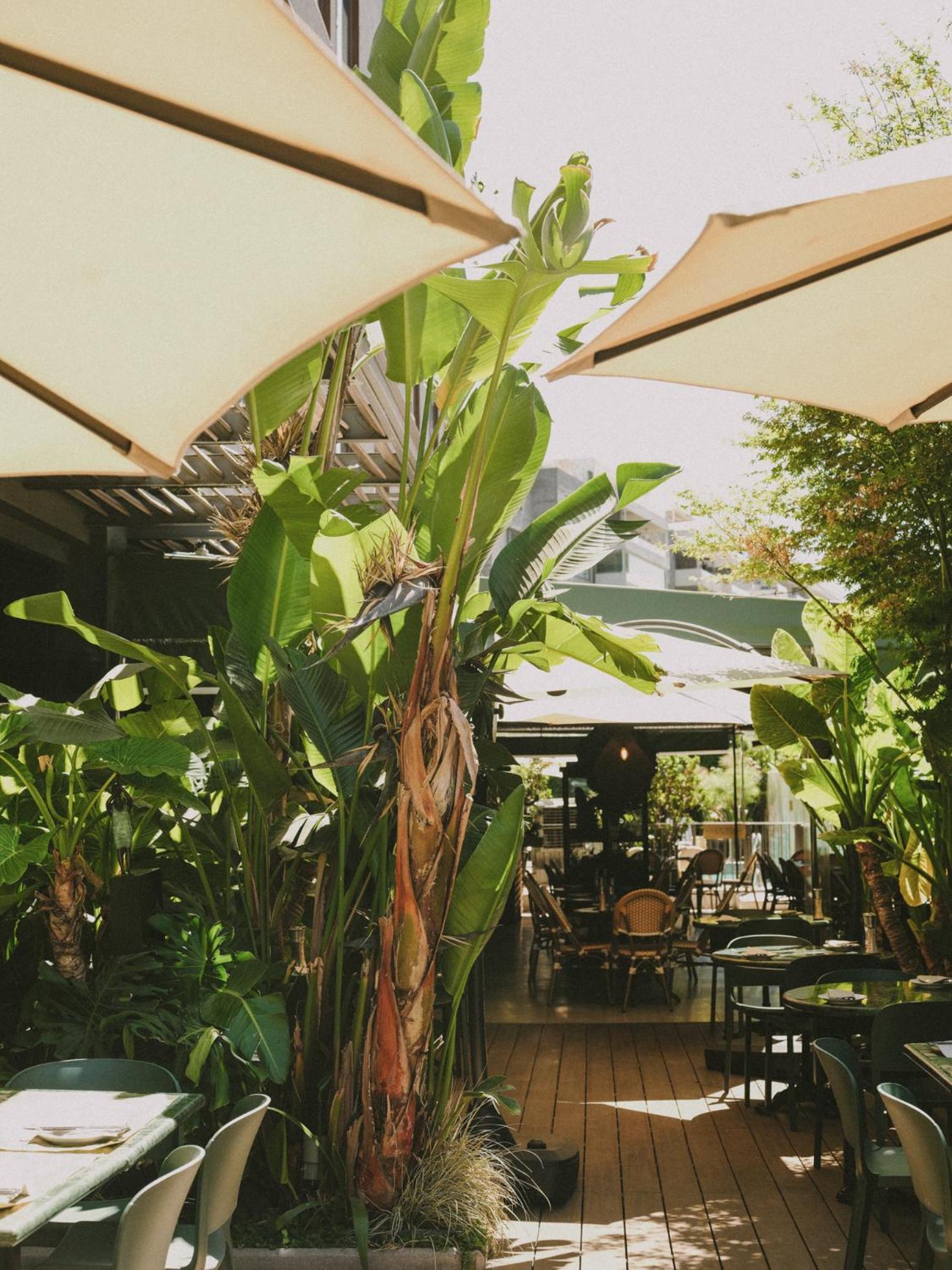 Hotel Eco Boutique Bidasoa Σαντιάγκο Εξωτερικό φωτογραφία
