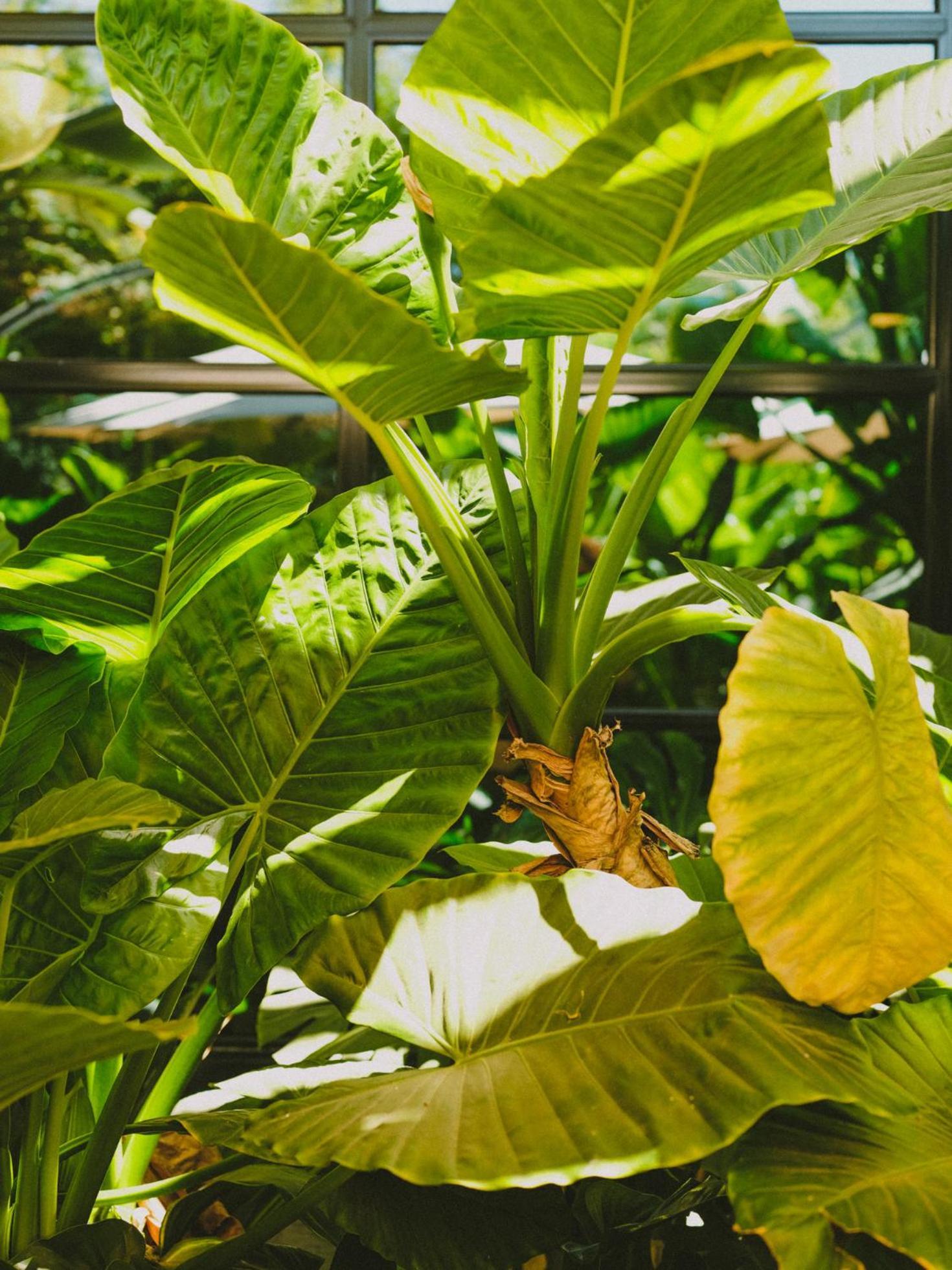 Hotel Eco Boutique Bidasoa Σαντιάγκο Εξωτερικό φωτογραφία